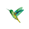 Nordic Print - Kolibri - Green
