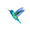 Nordic Print - Kolibri - Bleu