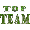 Top Team Green Pattern Texture