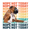 Boxer Dog Nope Not Today