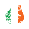 Fier de mes racines irlandaises