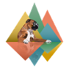 Boxer Dog Geometric