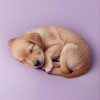 Sleeping Puppy on Lilac Background