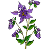 Blumen