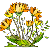 Fleur
