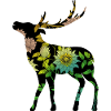 Cerf