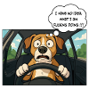 Cartoon-Hund am Steuer, Fahranfänger