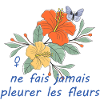 Ne_fais_jamais_pleurer_les_fleurs