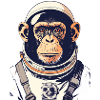 Motif spatial Singe Astronaute Singe