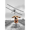North by northwest