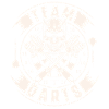 darts