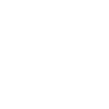 Shadow Hunter