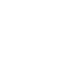 Debugging Detective Saying