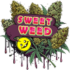 Sweet Weed
