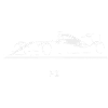 F1 Race Car Silhouette on Black