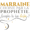 Marraine par Prophétie : Accepte ton Destin.