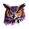 Owl Animal Night Owl