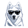 Husky