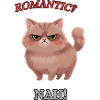 Le Chat Zéro Buck