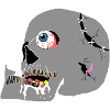Schädel