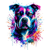 American Staffordshire Terrier
