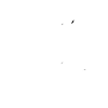 Zeichen Erkennen Katzenblick