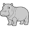 Hippopotamus Standing Comic Animal Zoo