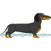 Dachshund silhouette with watermark pattern