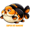 SUPER FAT RANCHU© High Quality Ranchu Goldfish