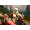 Nordisches Motorradabenteuer mit Bear
