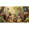 Squirrel Trio and Butterfly Dance