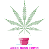 Weed Suga Mama