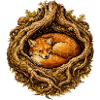 Schlafender Fuchs im Wurzelbau – Waldmotiv