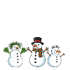Snowman Expert