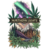 NORTHERN LIGHTS