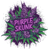 Purple Skunk
