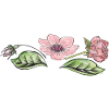 Vrille de fleur