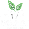 Houseplant Survival Club Plants