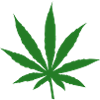 Cannabis Leaf - Weed - Freedom