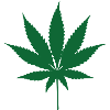 Cannabis - Weed - Legalize