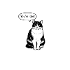 You're late