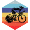 Simple road bike timeless design