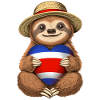 Costa Rican Sloth 