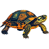Turtle Portrait Motif