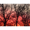 Abendrot_1