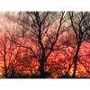 coucher de soleil