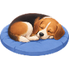 Cute Beagle Cartoon Cuddle Sleeping Chillout