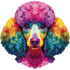 Caniche Chien