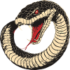 Serpent