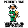 Médecin héros bandé avec chat